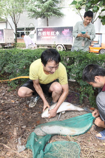 全员捕鱼庆中秋6.JPG